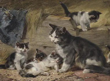 动物 猫 Pet Baby Animal Kitten 艺术 绘画 高清壁纸 3840x2400
