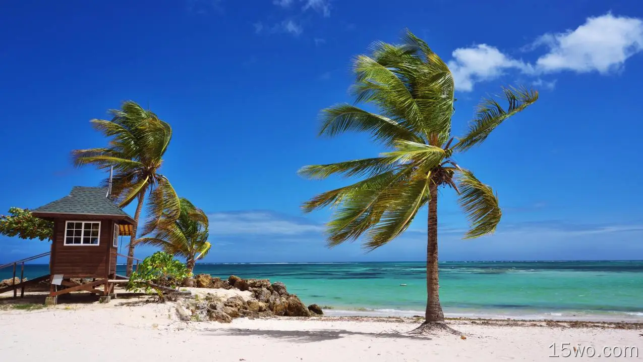 摄影 海滩 地球 热带 棕榈 高清壁纸