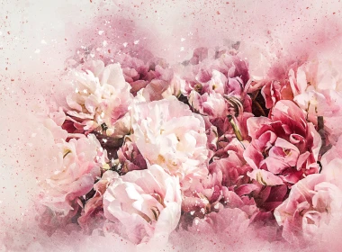 粉红色的花朵，水彩风格 2880x1800