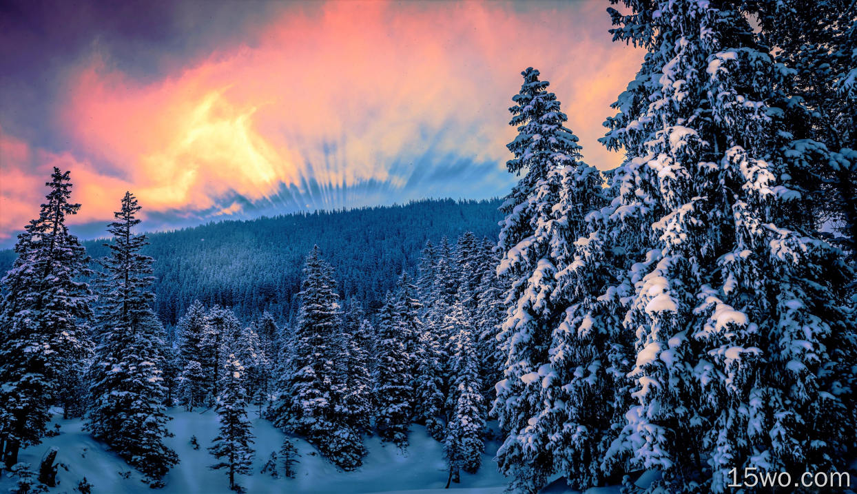 自然 冬季 森林 树 Snow 天空 日落 高清壁纸