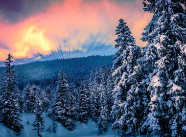 自然 冬季 森林 树 Snow 天空 日落 高清壁纸 4320x2489