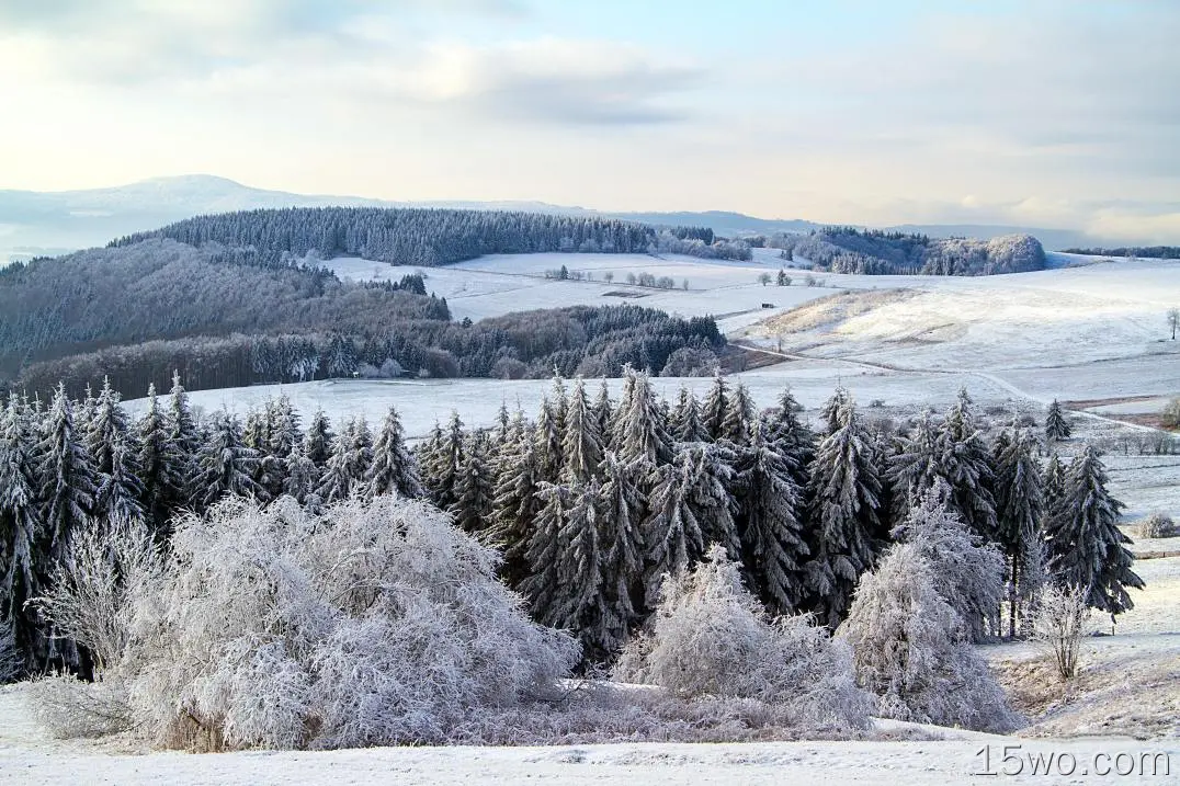 德国，波旁豪森，田野，雪，冬天，树木，山丘