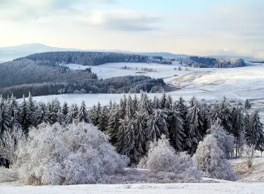德国，波旁豪森，田野，雪，冬天，树木，山丘 5184x3456